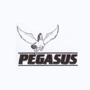 Pegasus Models