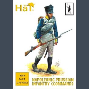 Napoleonic Prussian Infantry (Command)