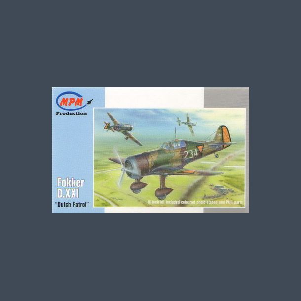 Fokker D.XXI "Dutch Patrol"