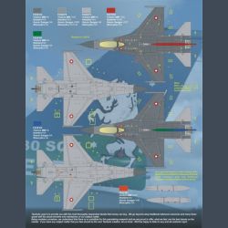F-16A MLU Royal Danish Air Force Anniversary