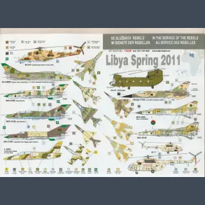 In The Service Of The Rebels - Libya Spring 2011