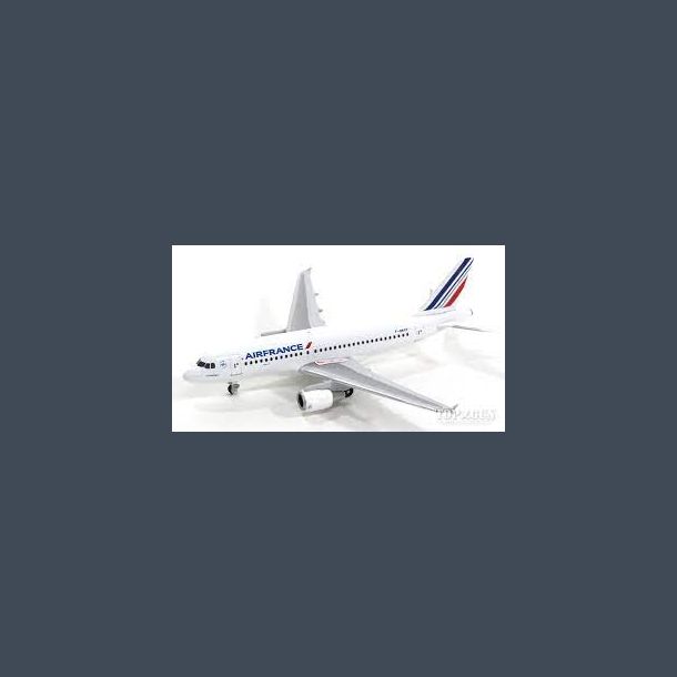Airfrance Airbus A319 (Metal 1/500)