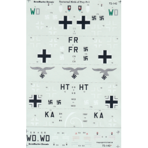 Nocturnal Birds of Prey -Pt I