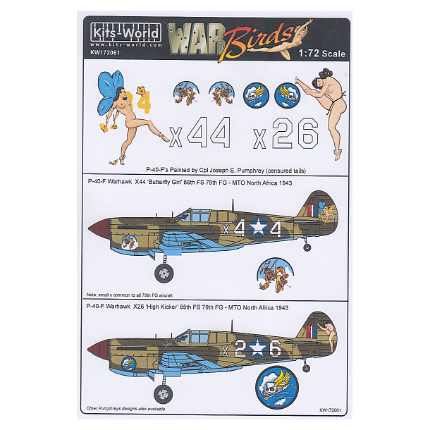 P-40-F Warhawk - War Birds