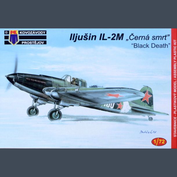 Iljusin Il-2M "Black Death"