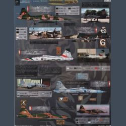 Freedom Tigers II Decal First Look