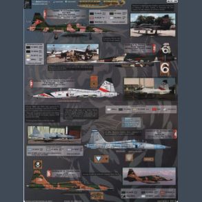 Freedom Tigers II Decal First Look