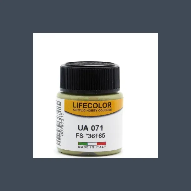 LifeColor Grey (22ml)
