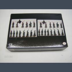 Old Guard on the March