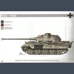 Panzer Colours of the III Reich Thierry Vallet - Spotlight On Nr. 2