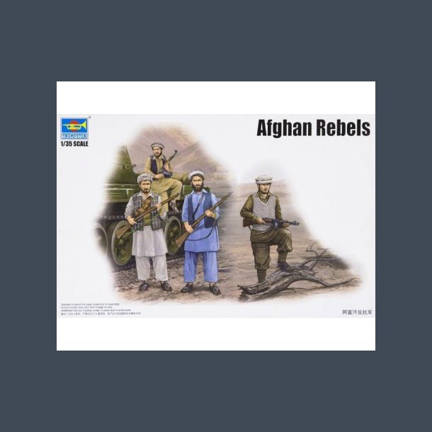Afghan Rebels