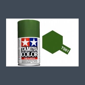TS-61 Nato Green