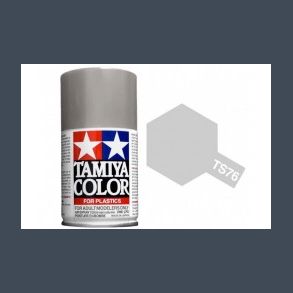 TS-76 Mica Silver